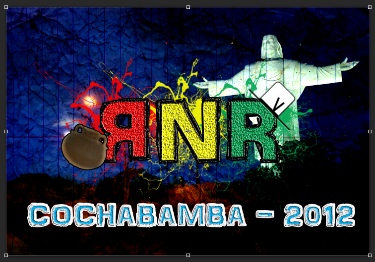 RNR-Cochabamba-2012